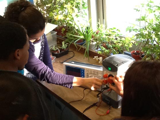 Using the equipment Using the equipment